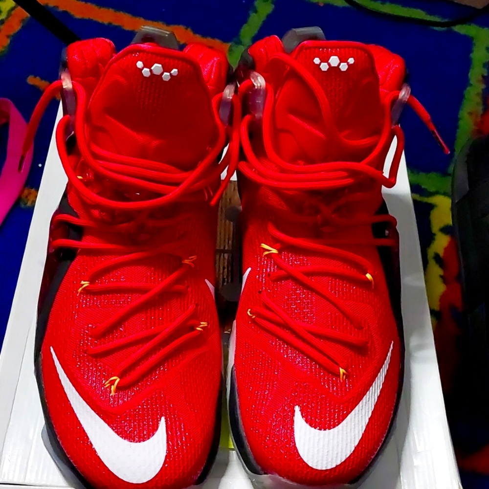 Lebron Xll elite